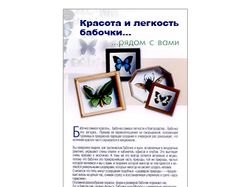 Статья о бабочках