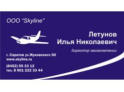Визитка (авиакомпания)