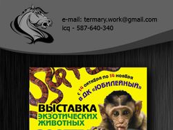 Плакат – Зоотеррариум