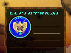 Сертификат для ШБИ"Комбо