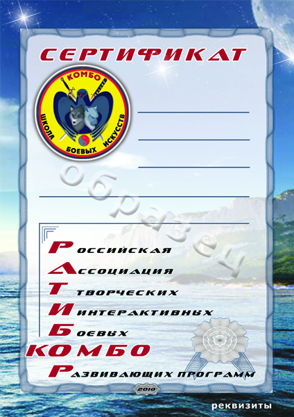 Сертификат для ШБИ"Комбо.jpg