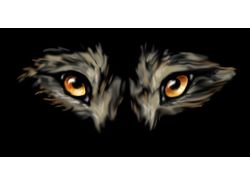 Eyes