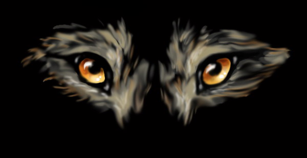 Eyes.jpg