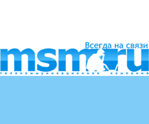 ГИФ баннер 300x250. Аренда и размещение серверов..gif