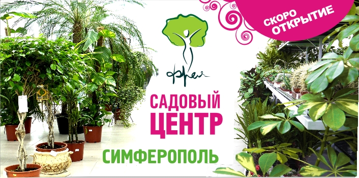 Садовый центр ботаника симферополь