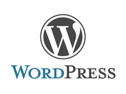 Премиум-темы для Wordpress