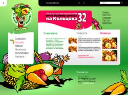 Portfolio work