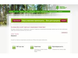 Сайт Лесной биржи
