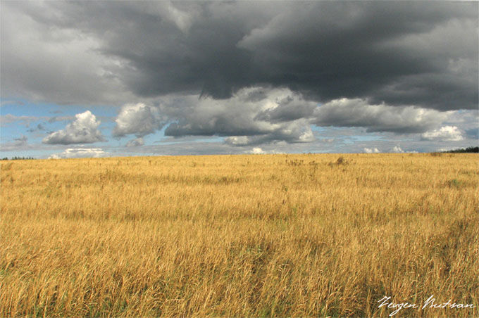Украина.jpg