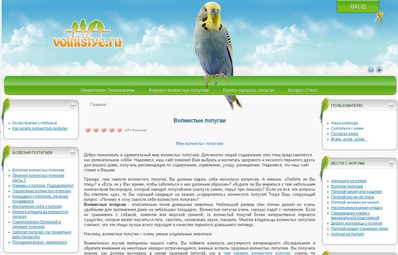 Дизайн сайта о волнистых попугаях.jpg