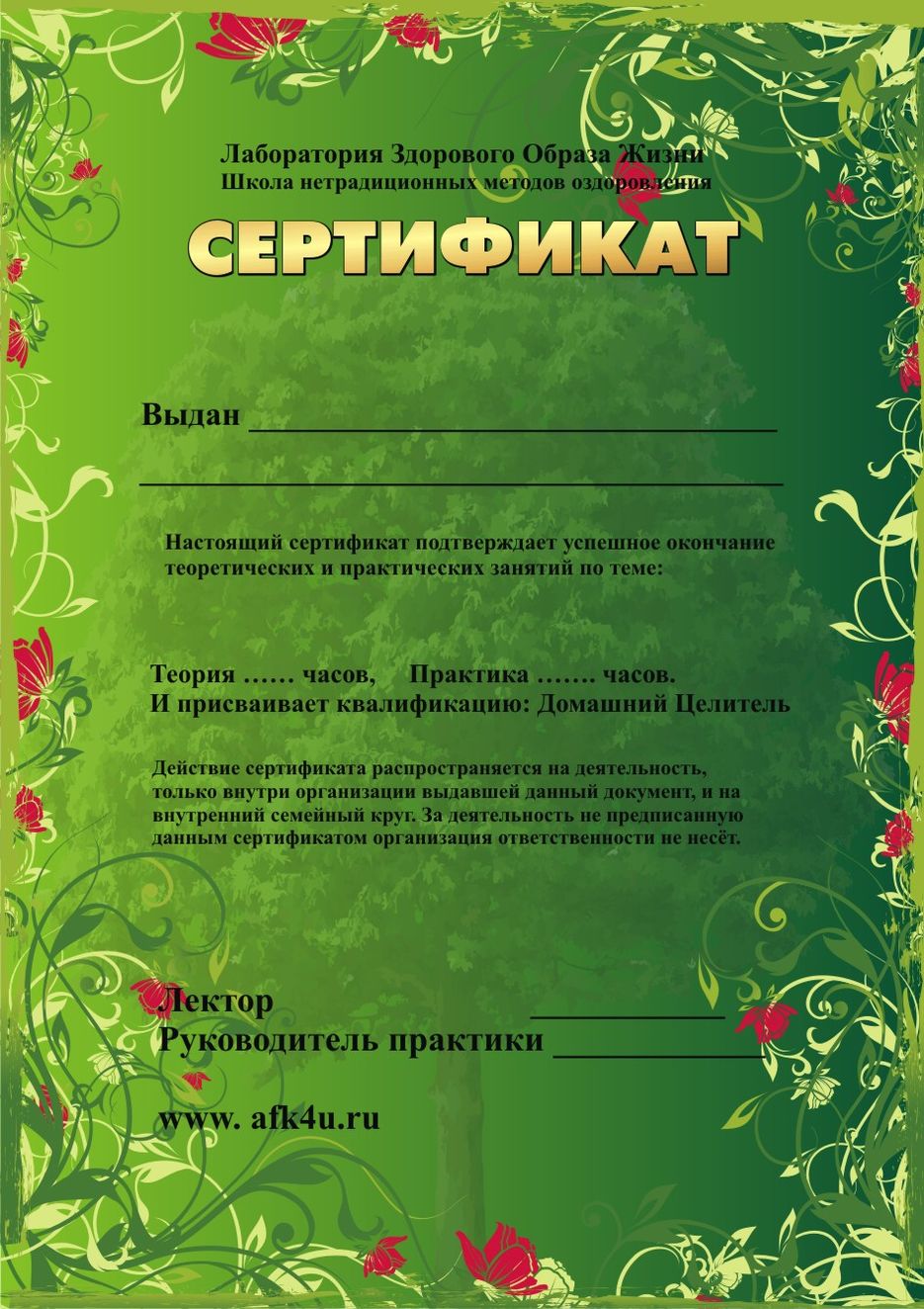 Сертификат здорового образа жизни.jpg