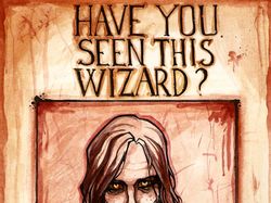 Have You Seen This Wizard