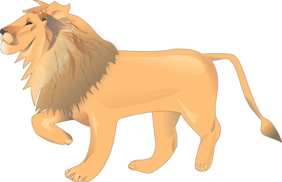 Lion.jpg