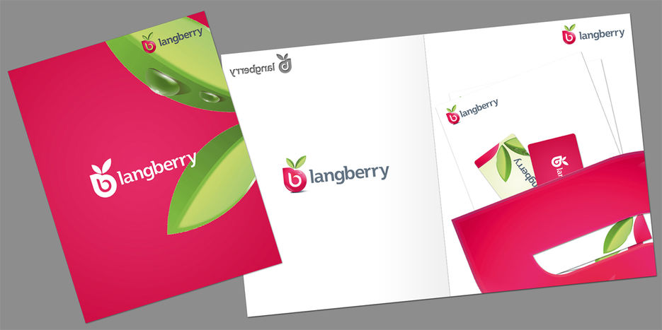 Фирменный стиль для компании LangBerry.jpg