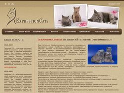 Expression cats