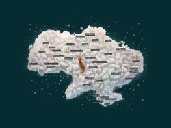 Новогодняя карта Украины на геометрии