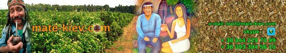 Шапка интернет-магазина напитков на основе "Мате".png