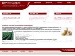 Макет сайта для компании "ДВ Регион Холдинг"