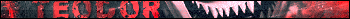 .png