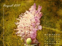 Календарь. Август