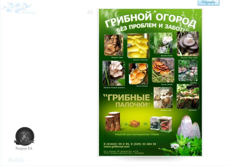 ИП Чикуенок В.А..jpg