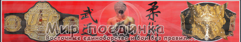Шапка сайта посвященному боям без правил.jpg