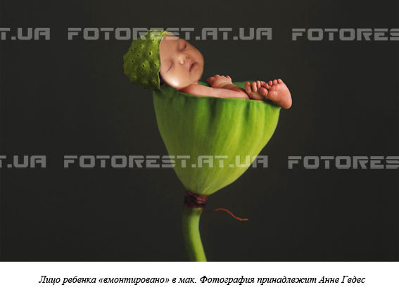 Малышка в цветке.jpg