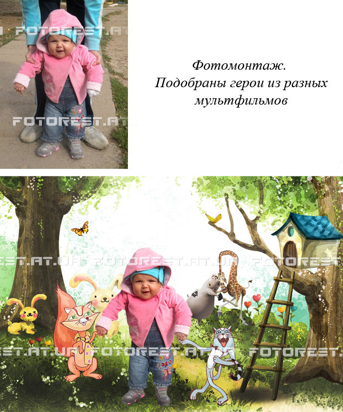 Сказочный лес.jpg