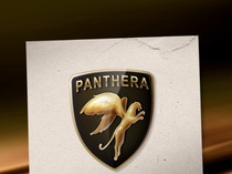 Логотип компании "Пантера"