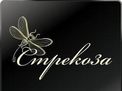 Логотип дизайн-студии "Стрекоза"
