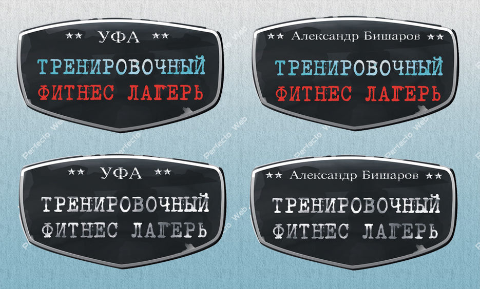 Значек Лагеря.jpg