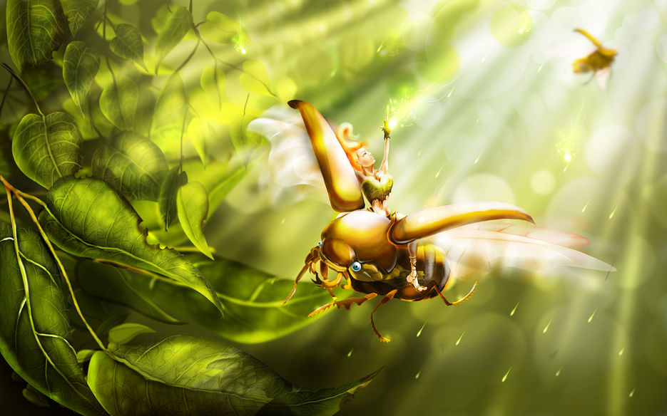 Bug.jpg