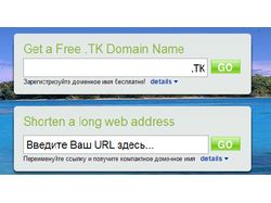 Автореггер доменов в DOT.TK