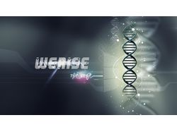 Для Werise