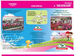 Лифлет