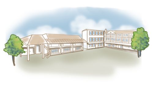 Шапка сайта.png