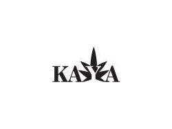 Лого книжного магазина Kaya.ru