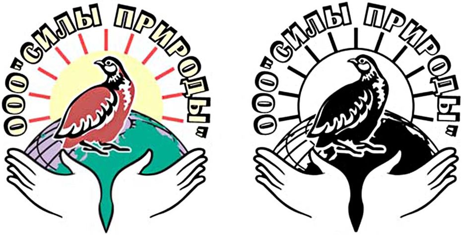 Принятый логотип (комп. продающая перепел. яйца).jpg