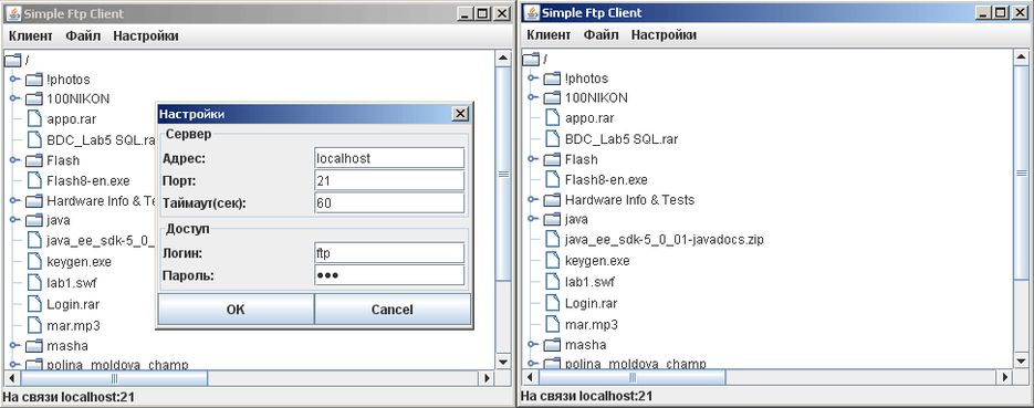 Simple Ftp Client.gif
