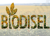 Biodisel.jpg