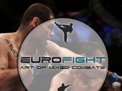 Eurofight