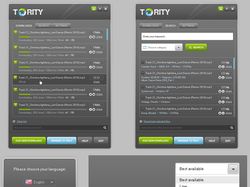 Программа Tority