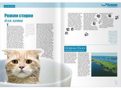 Разворот журнала
