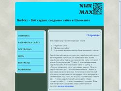 NurMax - Веб студия, создание сайта в Шымкенте