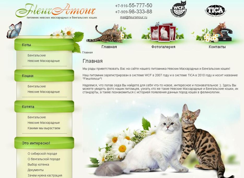 Сайт про кошек.jpg