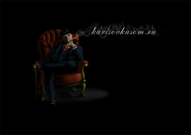 Иллюстрация для интернет магазина "Кури со вкусом".jpg