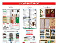 Реклама: каталоги, проспекты, буклеты, листовки.