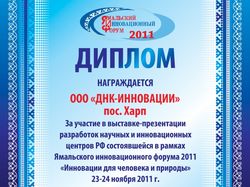 Макет диплома «ЯИФ-2011»