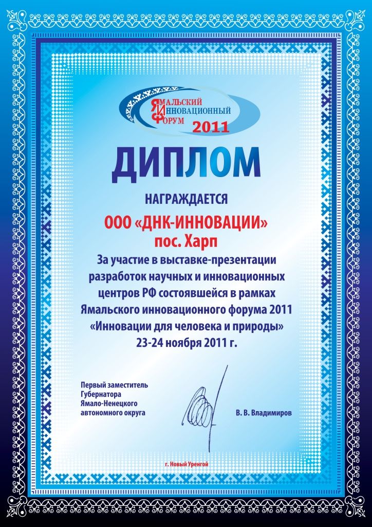 Макет диплома "ЯИФ-2011".jpg