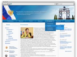 Разработка сайта для ФГУ Лаборатор. стандартизации
